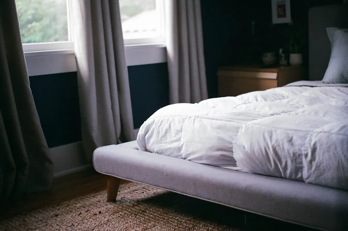 Prévenir les punaises de lit : 10 gestes simples au quotidien