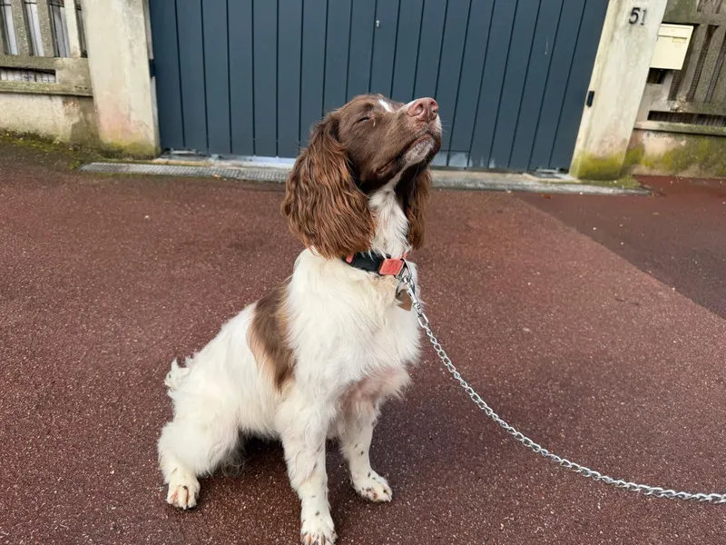 Molly en repérage devant l'entrée d'un domicile avant intervention