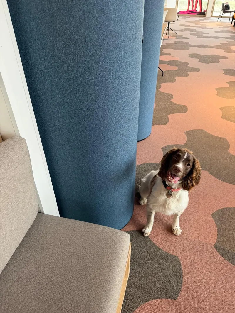 Molly assise dans un établissement, prête à inspecter les lieux