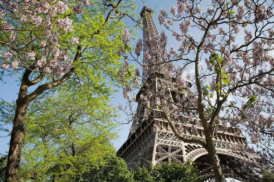 la tour Eiffel — Paris 7e, secteur d'intervention détection canine punaises de lit