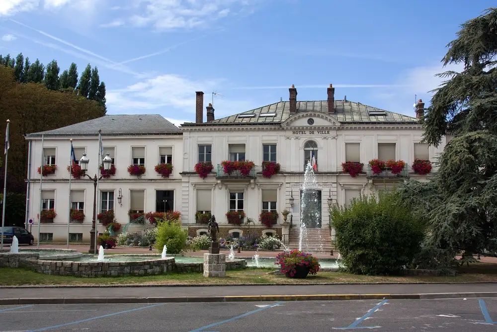 la mairie — Viry-Châtillon, secteur d'intervention détection canine punaises de lit